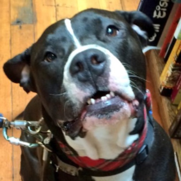 Meet your Posher, Myra - Picture 1 of 1